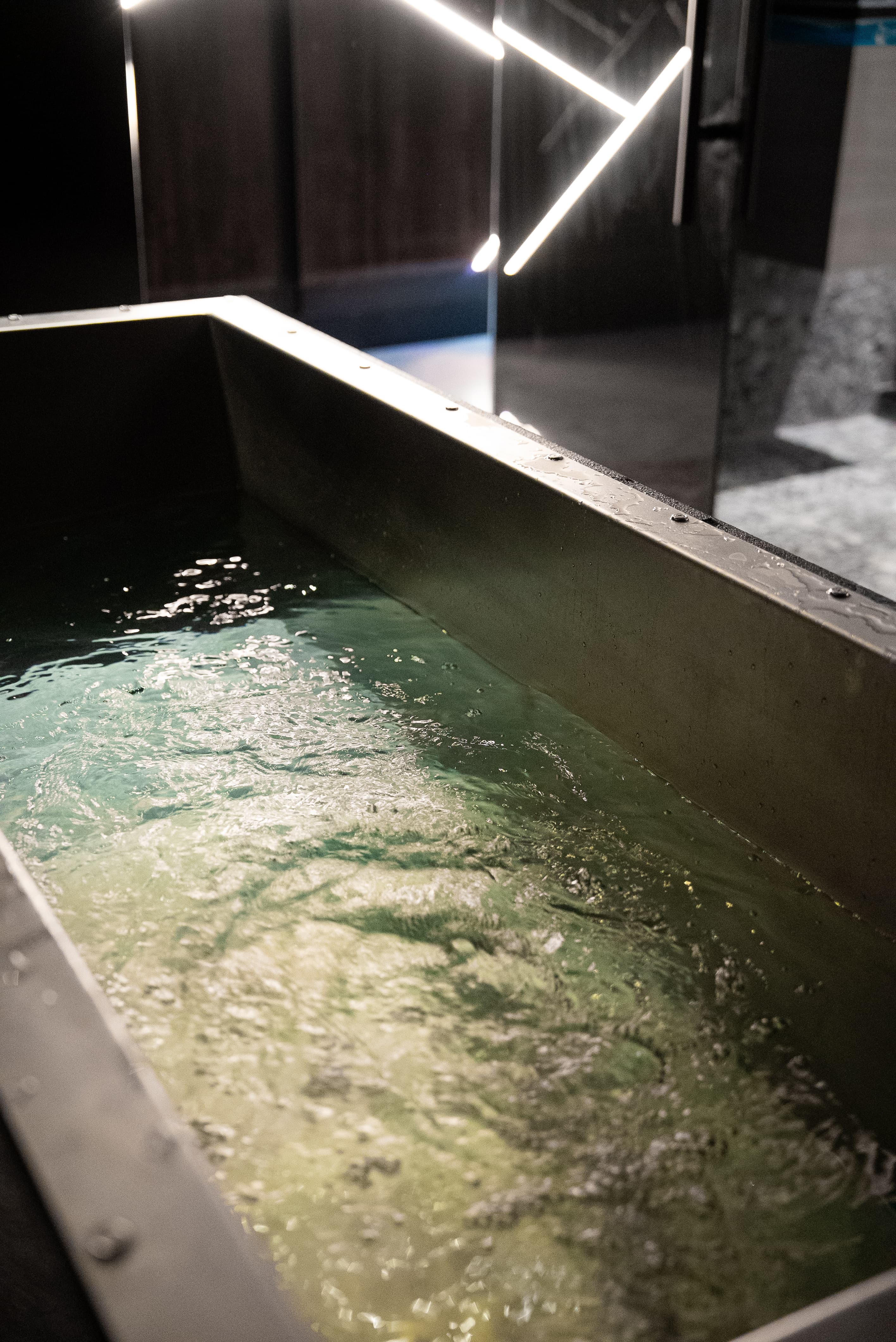 ALFA Club cold plunge — recovery infrastructure