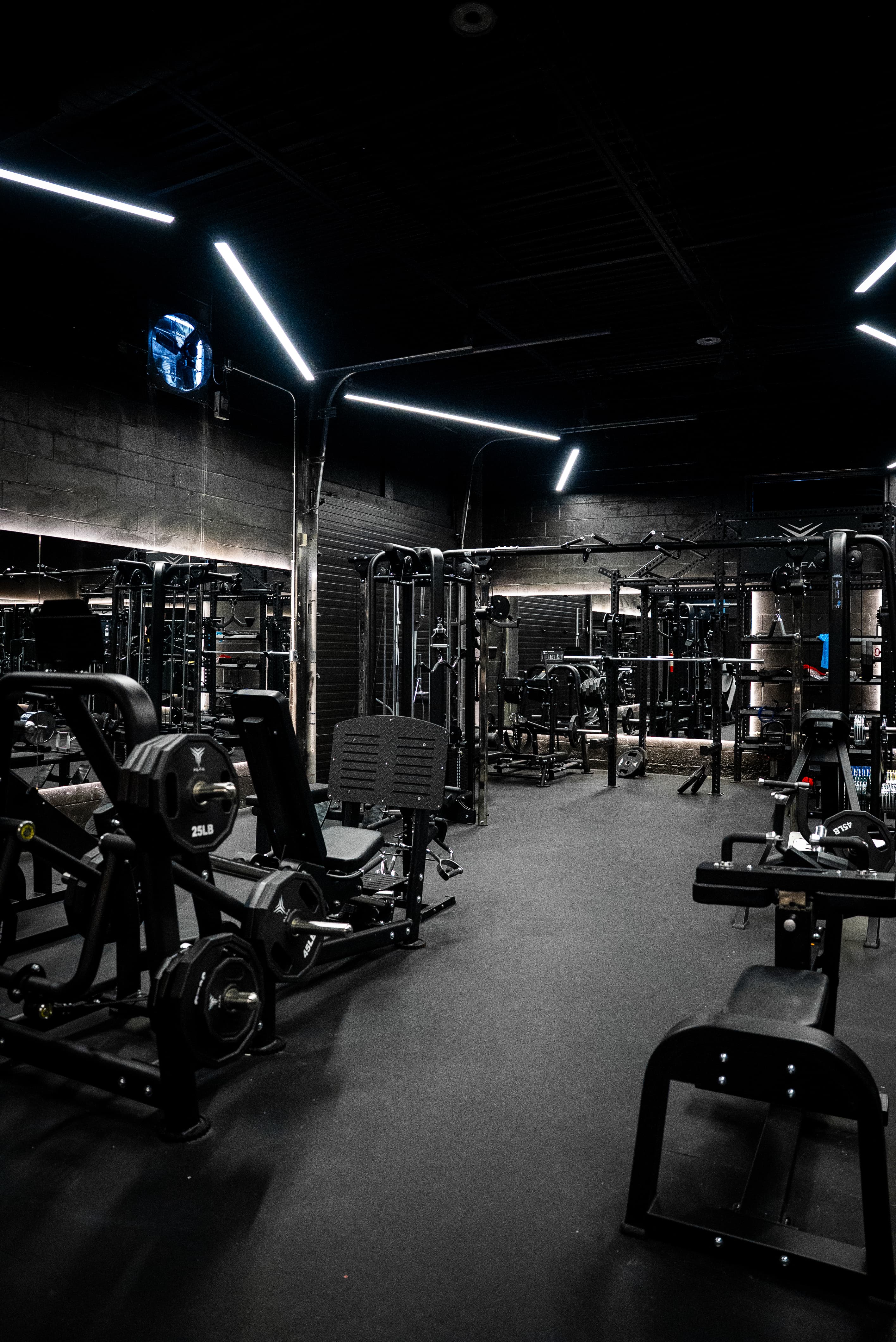 ALFA Club — commercial training floor, Oakville Ontario
