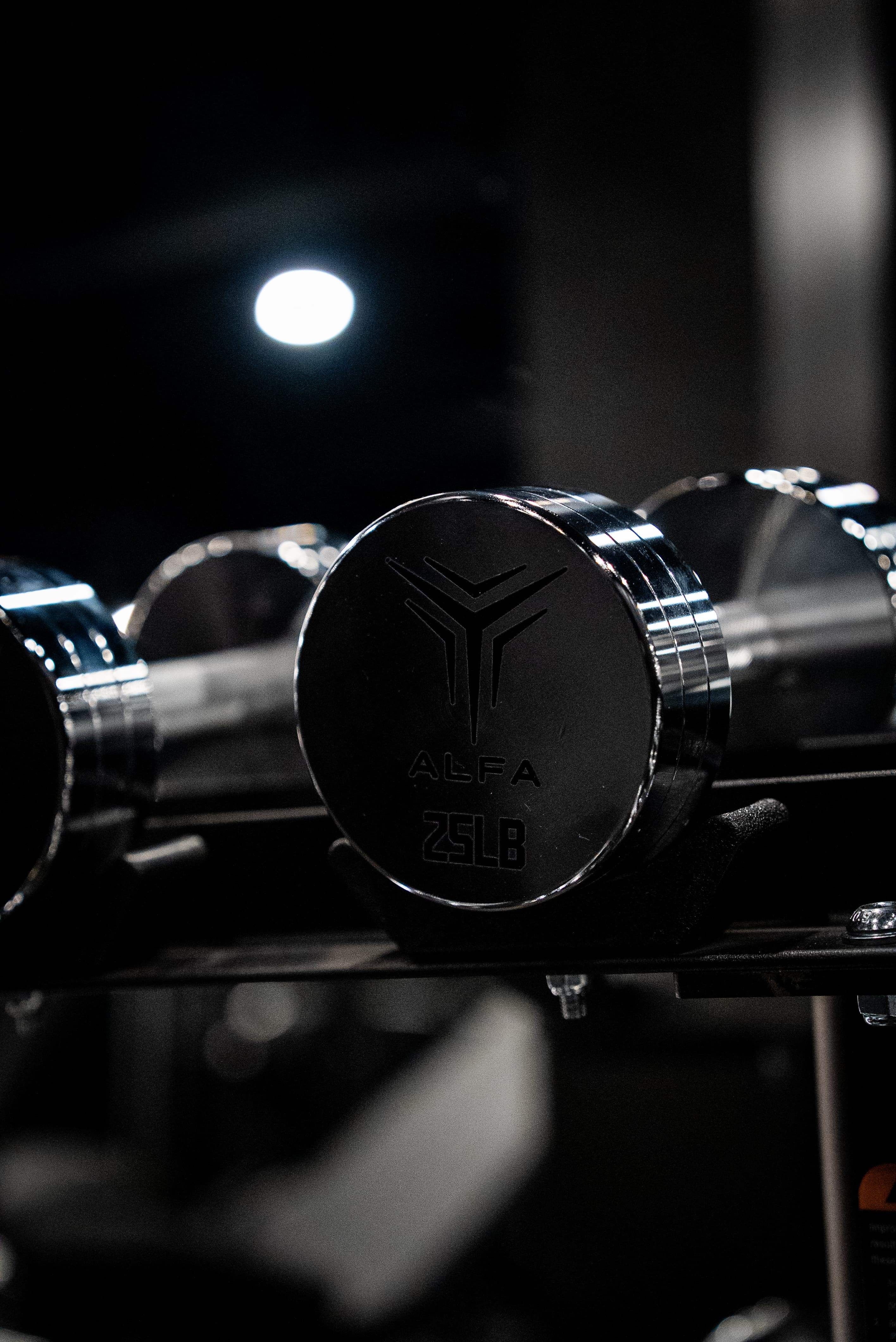ALFA branded dumbbell — 25LB