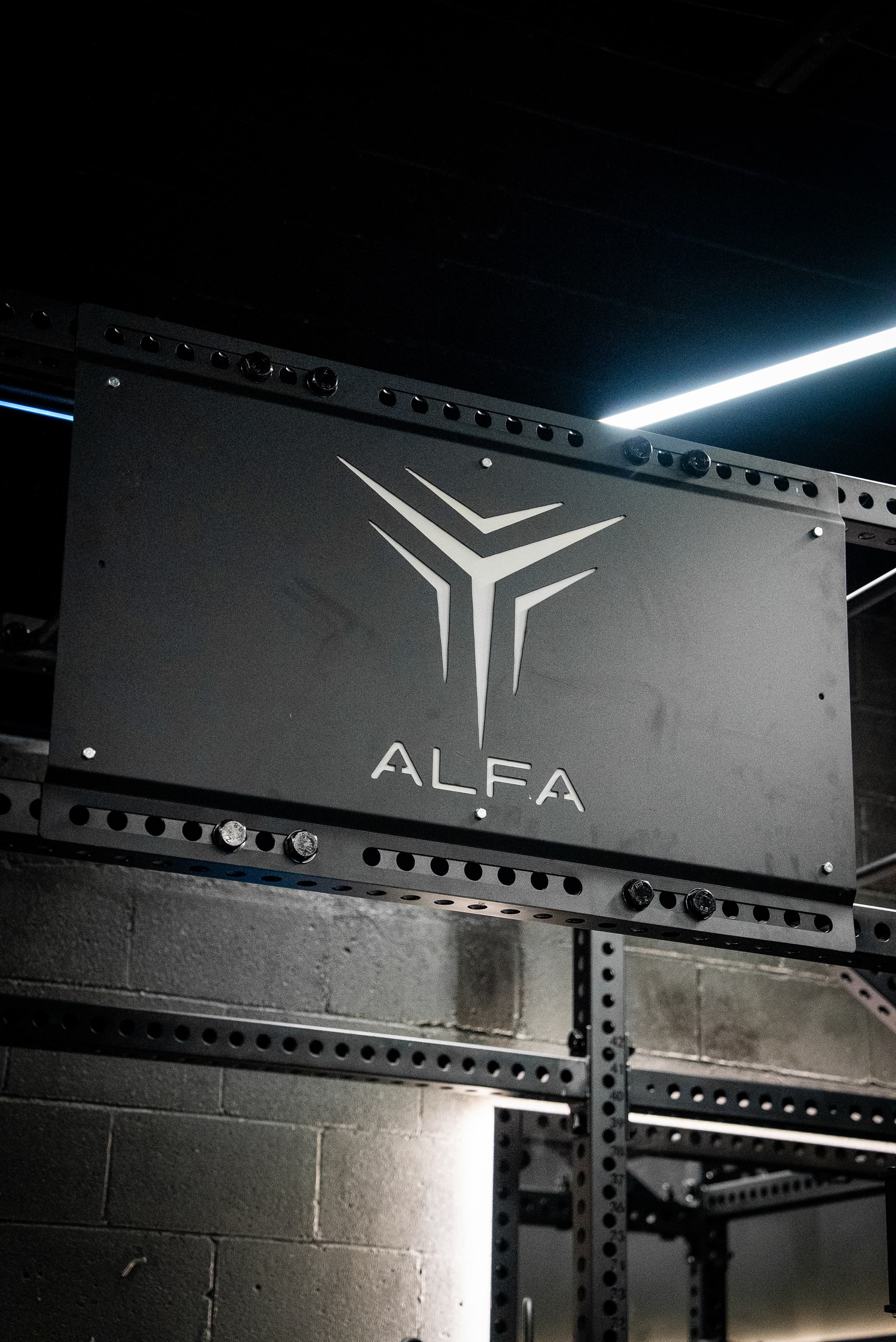 ALFA rack system panel
